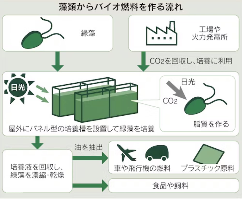 蒲郡競艇 アルコール